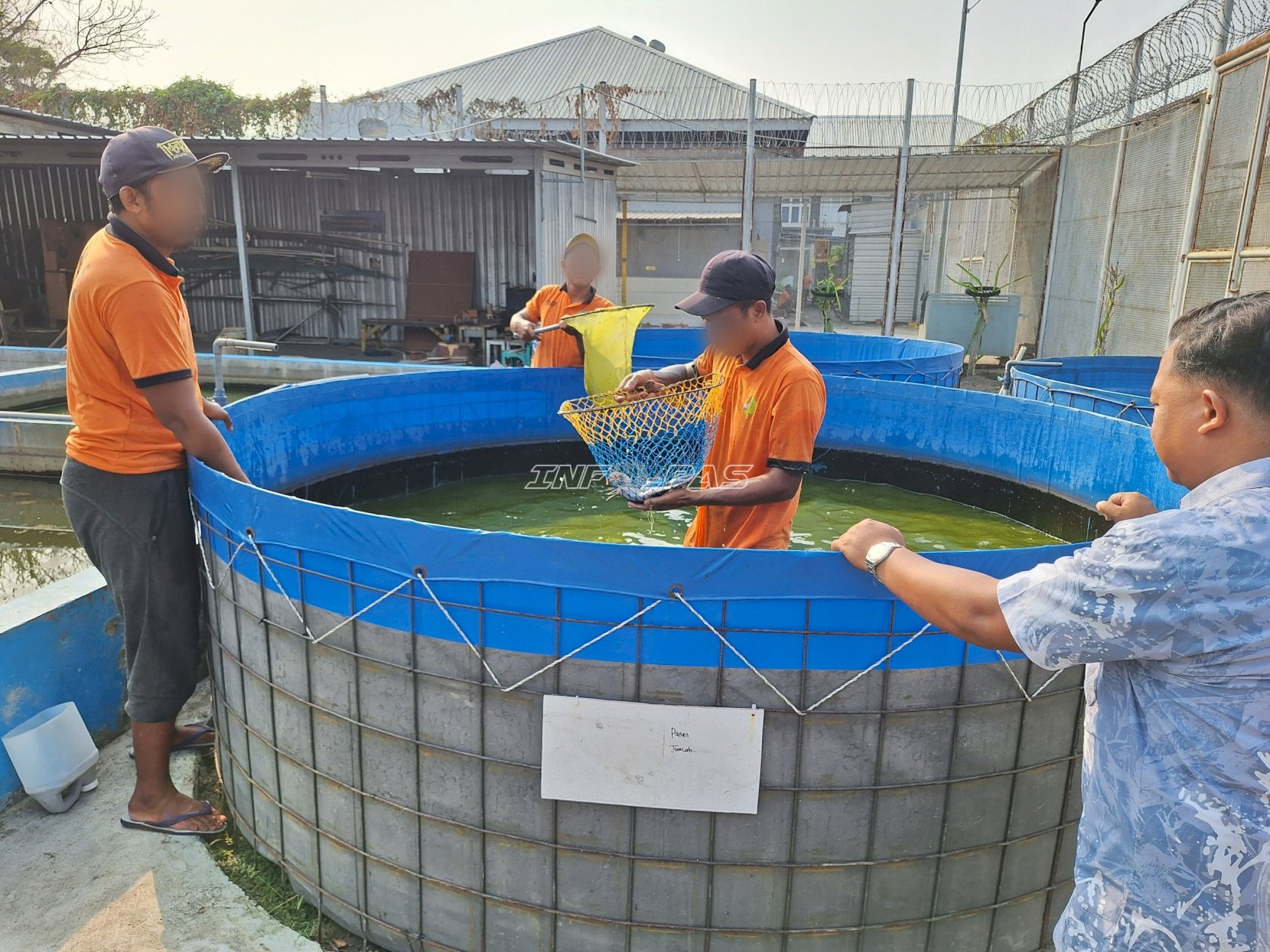 Panen 35 Kg Lele, Lapas Pemuda Madiun Dorong Pembinaan Produktif