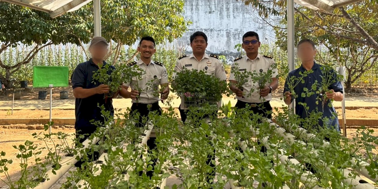 Produktifkan Lahan, Lapas Banjarbaru Panen 200 Netpot Seledri Hidroponik