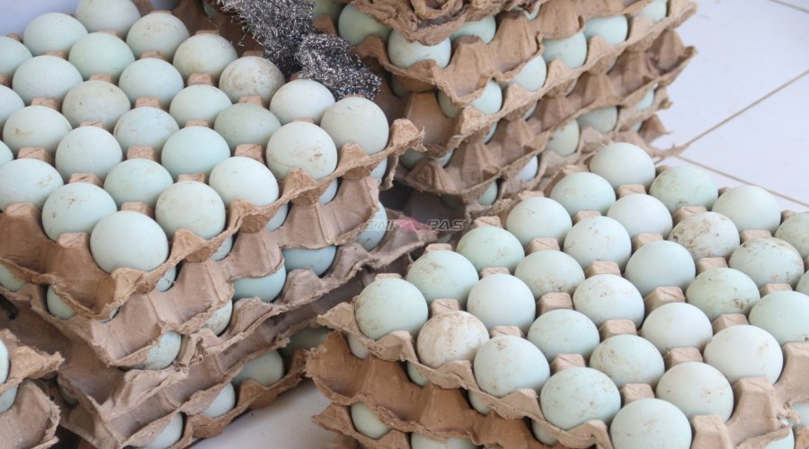 Warga Binaan Perempuan Rutan Pelaihari Asah Kemandirian, Telur Asin Jadi Bekal Produktif