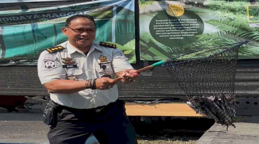 Lapas Kelas I Madiun Panen 60 Kilogram Lele dan 15 Kilogram Telur Ayam di Brandgang Ecopark