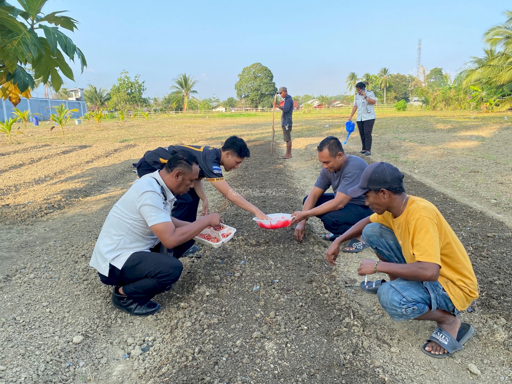 Berkelanjutan dan Produktif, Rutan Masohi Tambah Tanaman Kacang Tanah di Lahan SAE