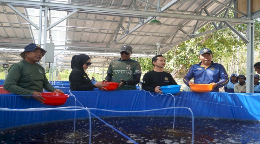 Tebar 40.000 Benih Lele, Lapas Batu Perkuat Ketahanan Pangan di Nusakambangan
