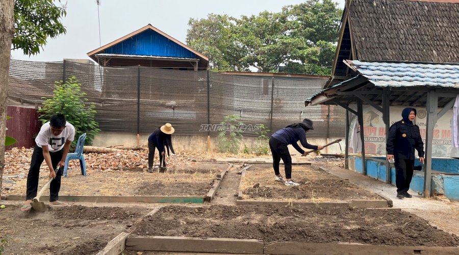 Asah Kemandirian, Lapas Perempuan Martapura Olah Lahan SAE untuk Budidaya Sayuran