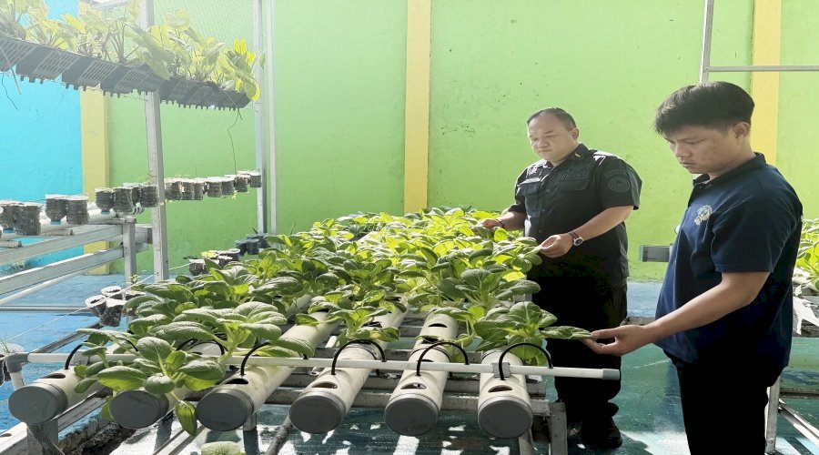 Apa Itu Asimilasi Narapidana: Pengertian, Tujuan, dan Syarat Mendapatkannya