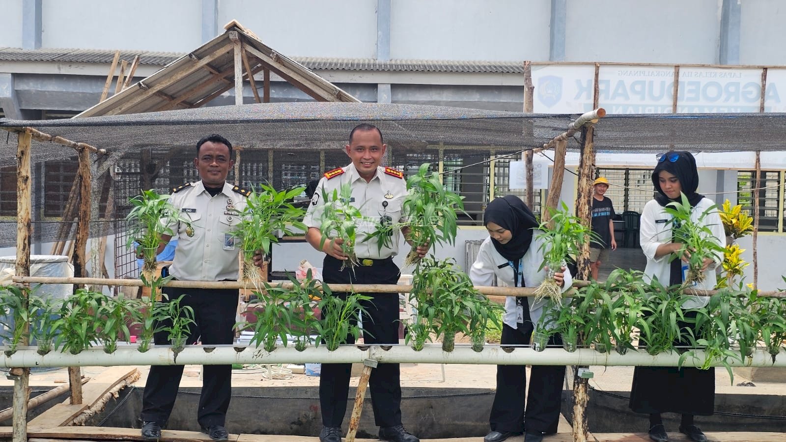 Uji Coba Akuaponik, Lapas Pangkalpinang Panen 7 Kg Kangkung dari Gelas Bekas