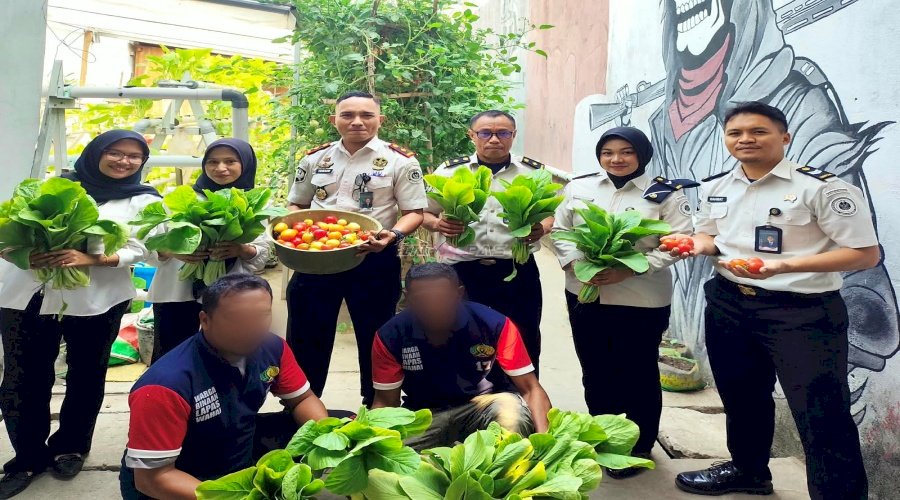 Lapas Wahai Panen Sawi Hidroponik dan Tomat Apel, Ruang Belajar Nyata bagi Peserta Magang