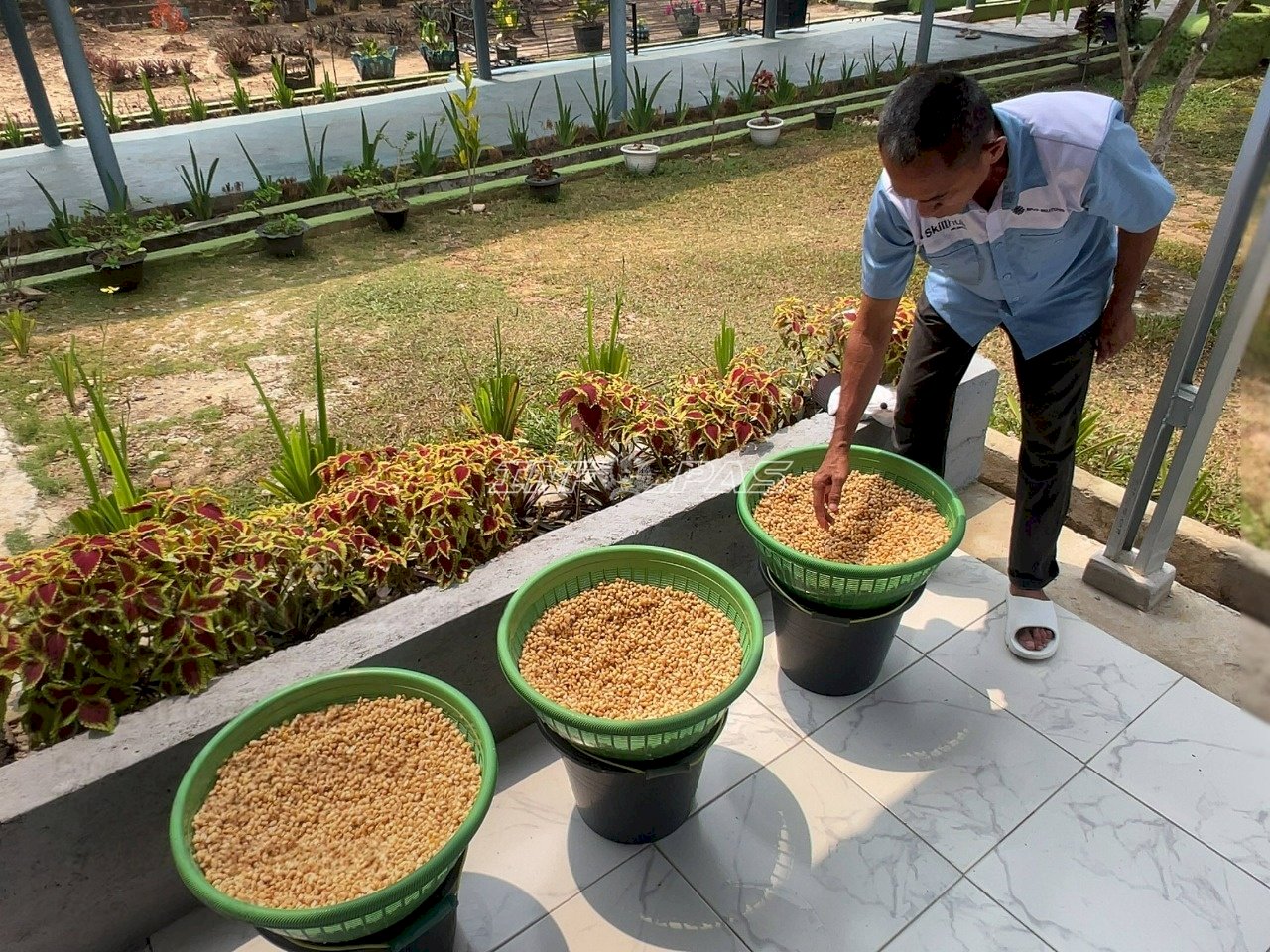 Naik Level, 16 Warga Binaan Lapas Tanjungpandan Kuasai Pengolahan Tahu dan Tempe