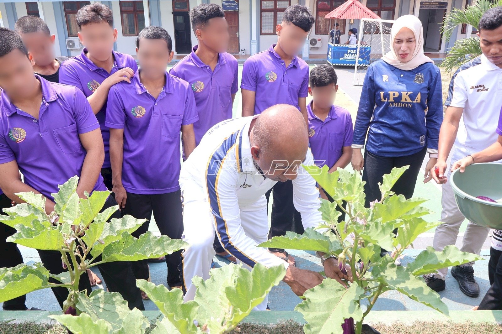 Panen Terung Bersama, LPKA Ambon Asah Keterampilan Anak Binaan
