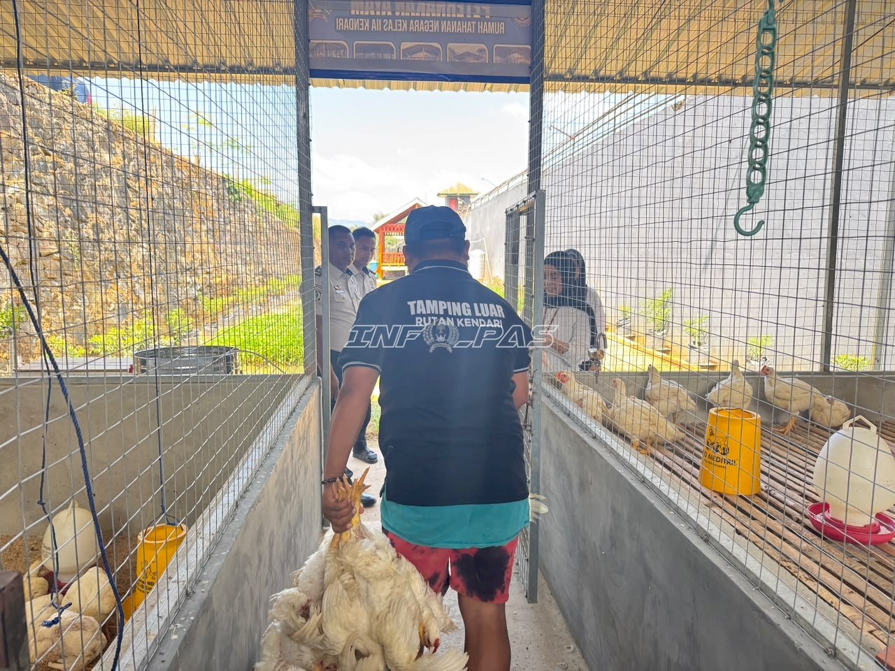 Asah Keterampilan Beternak, Warga Binaan Rutan Kendari Panen 250 Ekor Ayam Pedaging