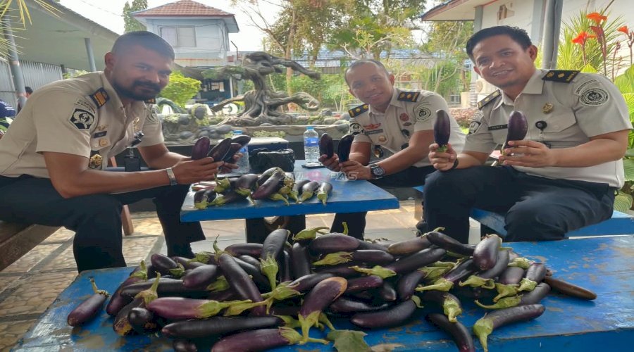 Buah dari Ketekunan, Warga Binaan Lapas Narkotika Karang Intan Panen 10 Kg Terung