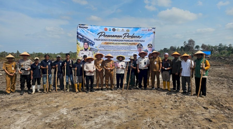  Lapas Pangkalpinang Tanam Padi Gogo Khas Bangka, Wujudkan Kawasan Pangan Terpadu di Tuatunu
