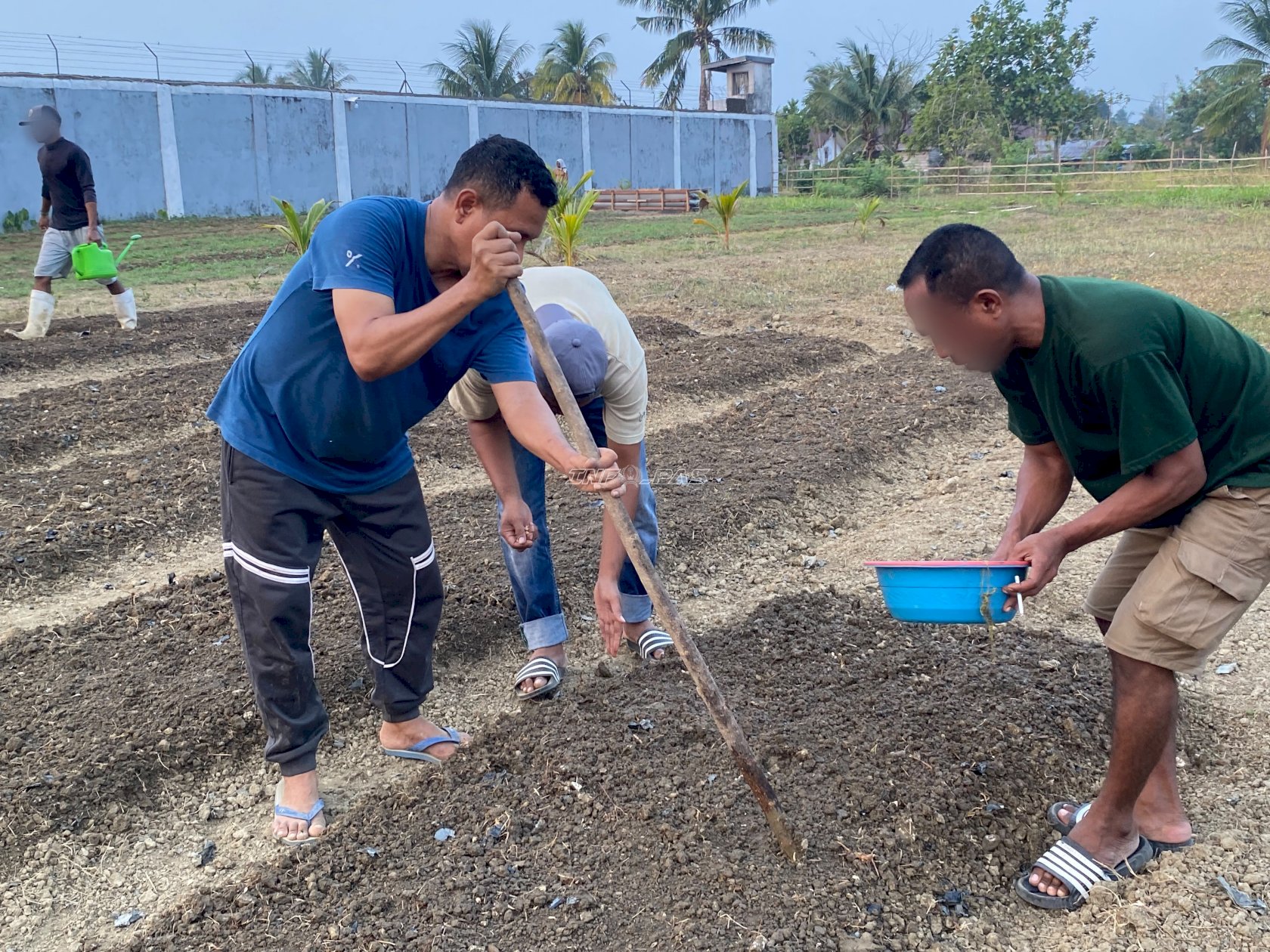 Perkuat Ketahanan Pangan, Rutan Masohi Tanam dan Kacang Tanah di Lahan SAE