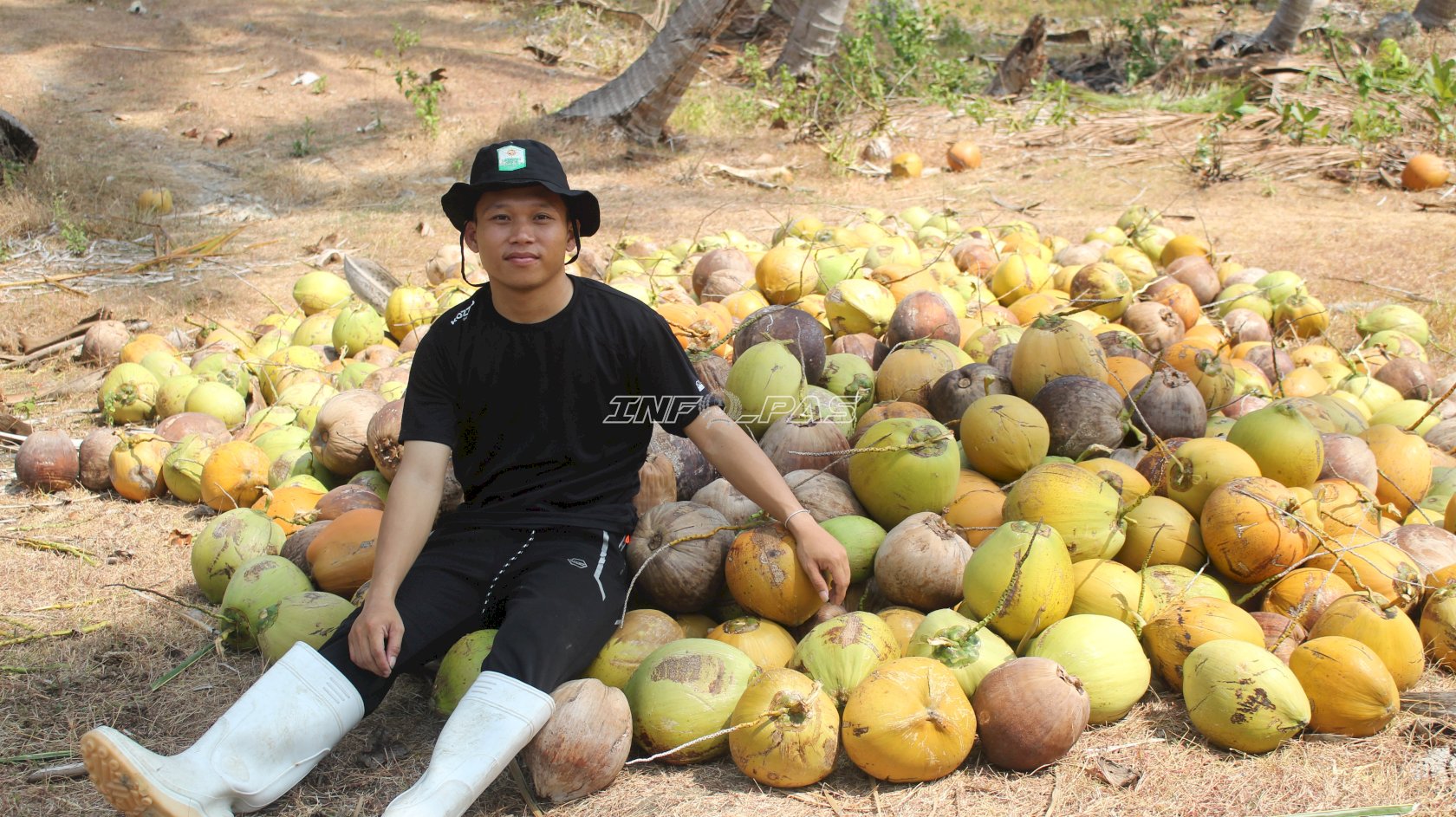 Panen 3.000 Buah Kelapa, Rutan Majene Produktifkan Lahan SAE