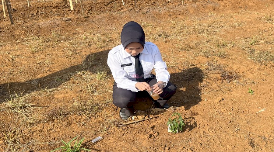 Kenali Kondisi Lahan, Peserta MagangHub Kemnaker Ukur pH Tanah di SAE Kebun Lapas Batulicin