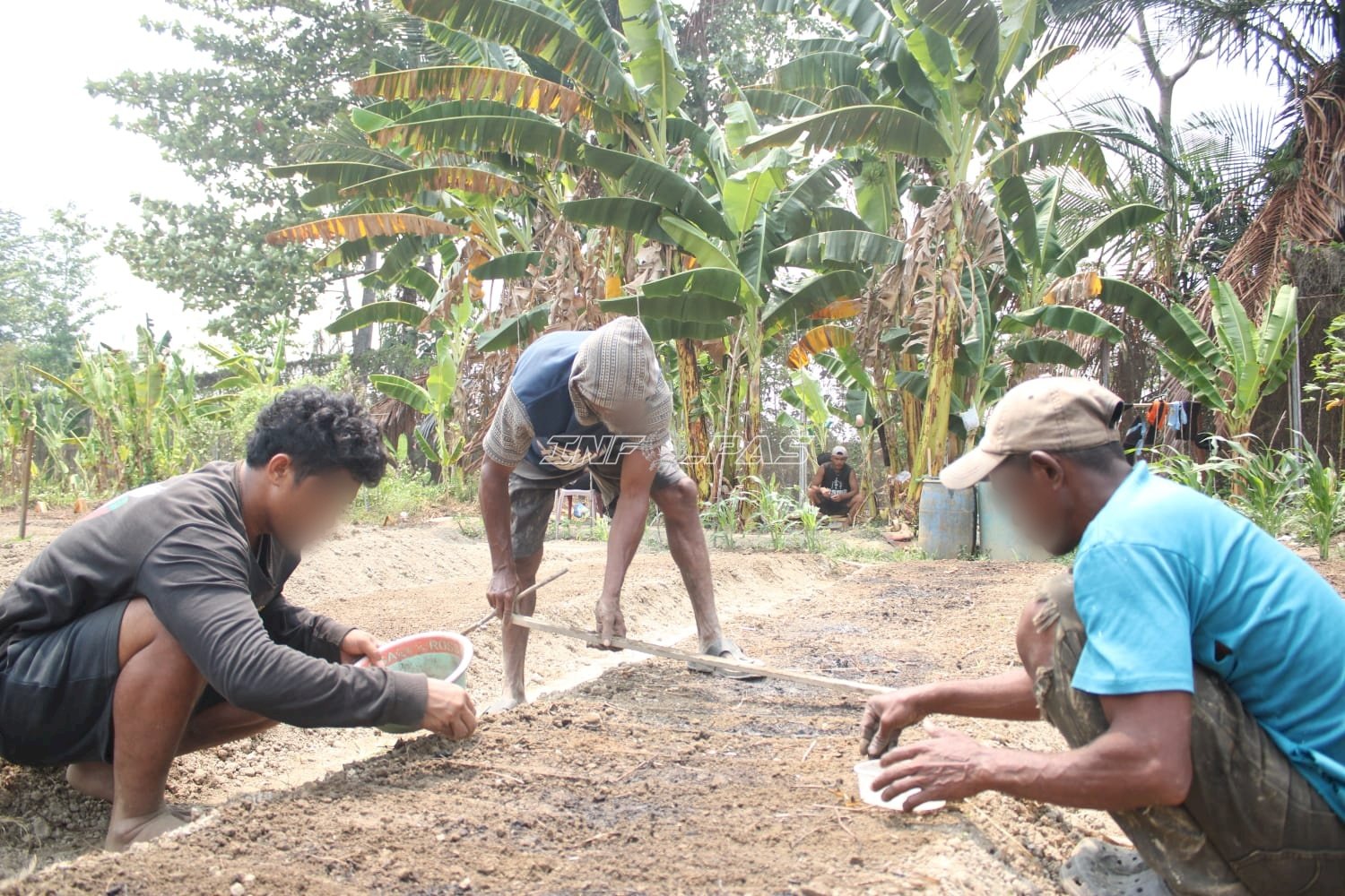 Konsisten Dukung Ketahanan Pangan, Lapas Piru Lakukan Pembibitan Kangkung