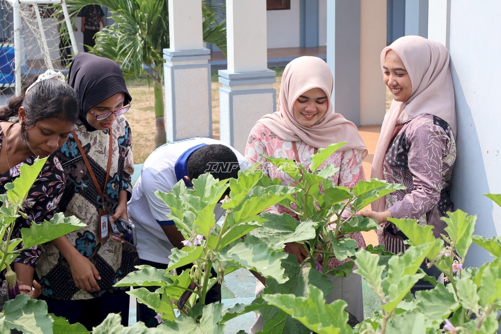 LPKA Ambon Panen 47 Buah Terung, Bekali Anak Binaan Keterampilan Pertanian