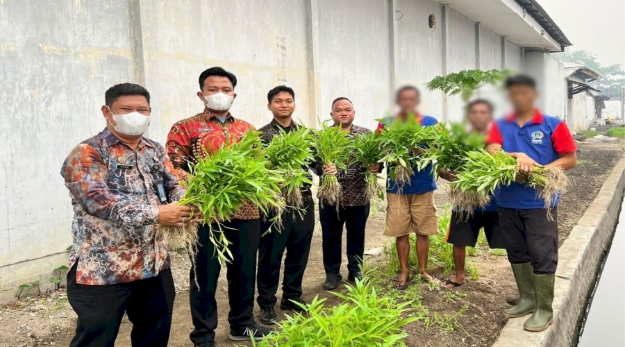 Lapas Banjarmasin Panen 66 Kg Kangkung, Hasilnya Diserap Vendor Dapur