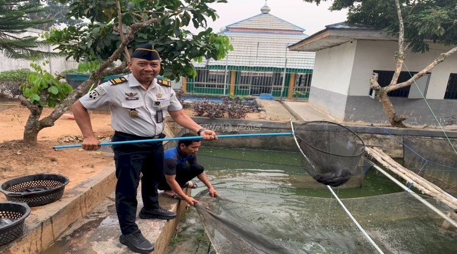 Lapas Tanjung Panen Lele 20 Kilogram, Wujudkan Pembinaan Produktif dan Berkelanjutan
