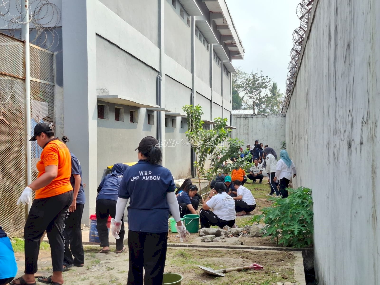 Lapas Perempuan Ambon Kembangkan Pembinaan Kemandirian Berbasis Perkebunan