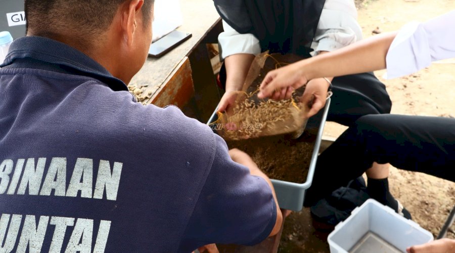 Lapas Amuntai Kembangkan Budidaya Maggot, Dorong Ketahanan Pangan dan Pembinaan Warga Binaan