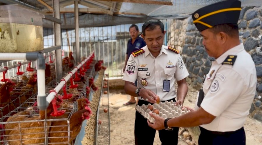 Dukung Produktivitas Peternakan, Lapas Kotabaru Panen Perdana 30 Butir Telur Ayam