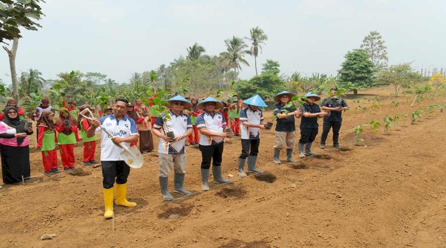 SAE L’Sima Ngajum Tanam 1.000 Bibit Kopi Dan Kedelai, Libatkan Murid SD dalam Edukasi Ketahanan Pangan
