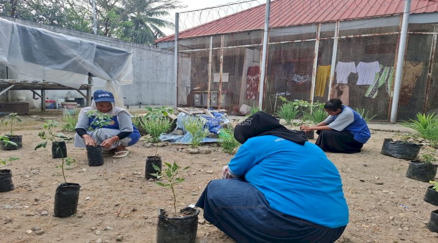 Kalapas Perempuan Ambon Dorong Partisipasi Warga Binaan dalam Program Ketahanan Pangan