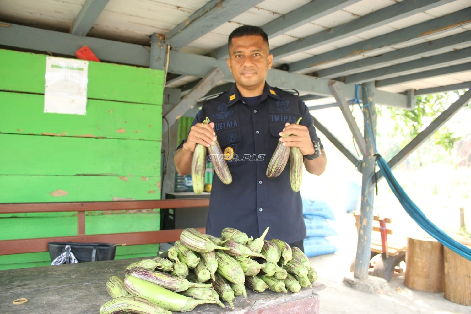 Lapas Piru Panen 6,5 Kg Terung dan Siapkan Lahan untuk Pepaya California