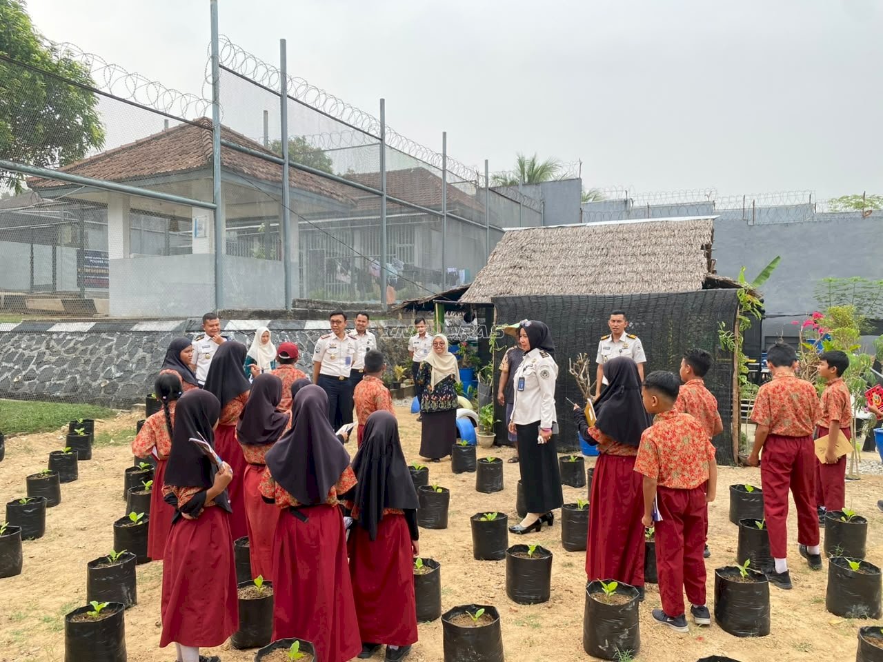 Besilak di SAE Lapas Tanjungpandan, 21 Siswa SDN 12 Badau Belajar Ketahanan Pangan