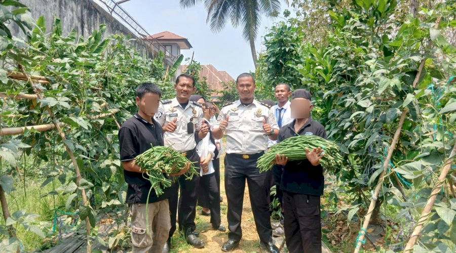 Panen 50 Kg Kacang Panjang, Rutan Unaaha Dukung Pembinaan Kemandirian Warga Binaan