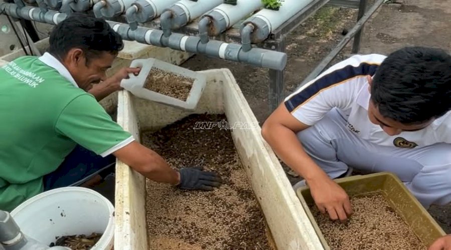 Ekonomi Sirkular Berbasis Swasembada, Lapas Luwuk Sulap Limbah Dapur Jadi Pakan Ikan dan Pupuk Organik
