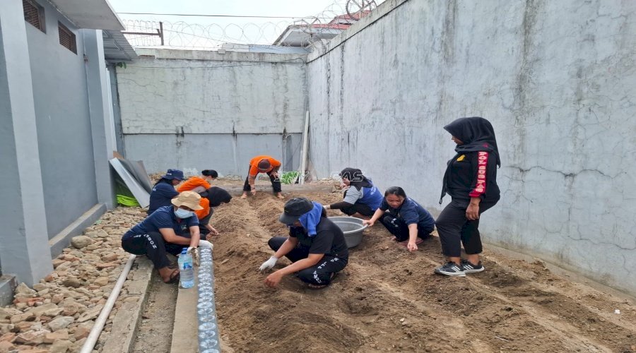 Lapas Perempuan Ambon Kembangkan Budidaya Cabai, Tomat, dan Pepaya