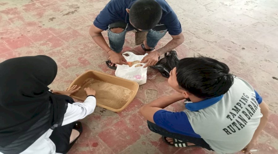Rutan Barabai Kembangkan Budidaya Maggot BSF untuk Dukung Pengelolaan Sampah Organik