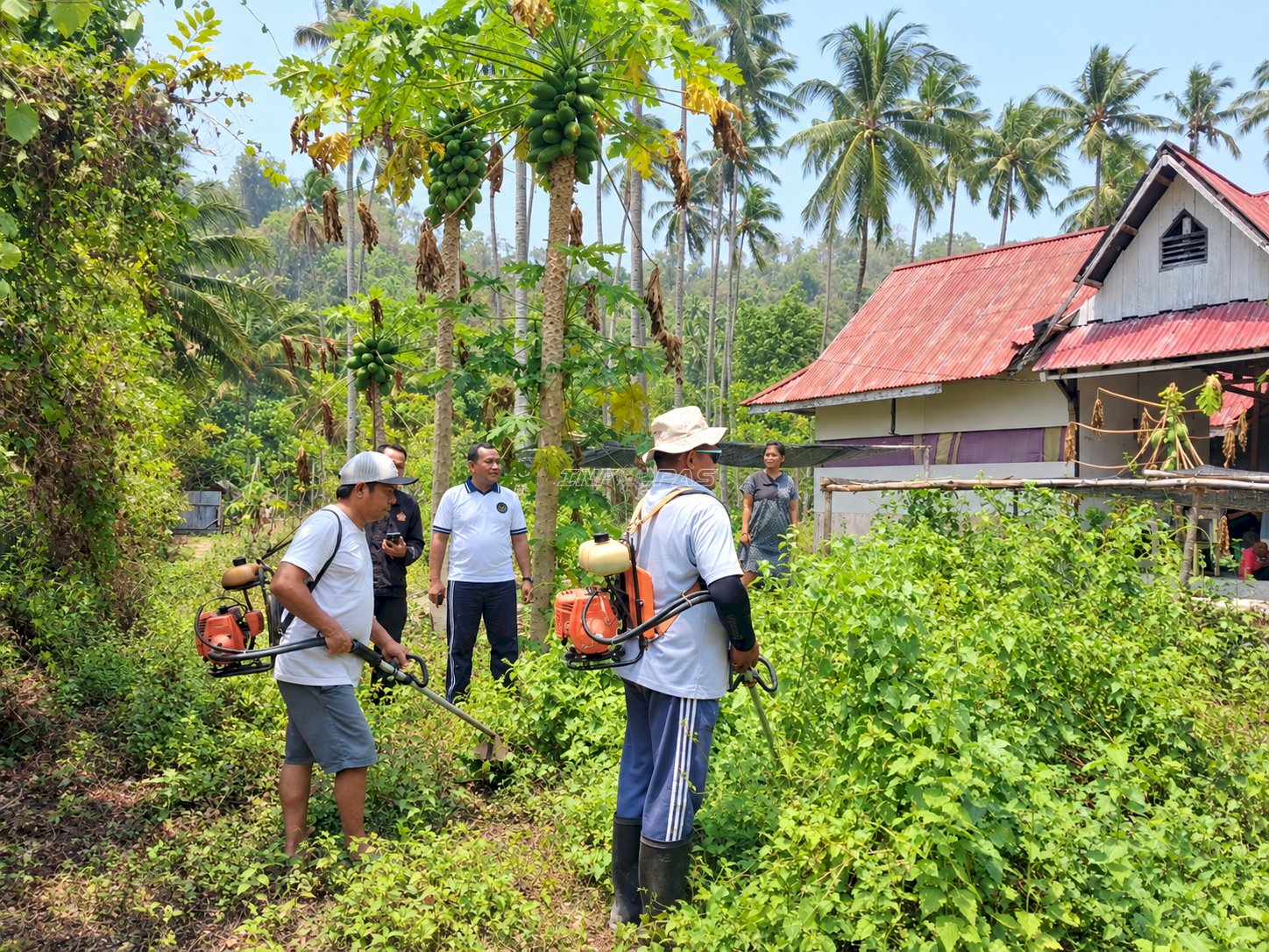 Bapas Luwuk Siapkan Lahan Budi Daya Lele untuk Dukung Kemandirian Klien
