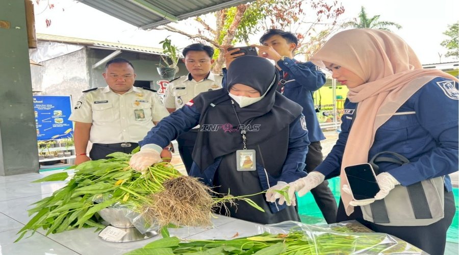 Lapas Banjarmasin Sambut Tim Pengawasan dan Pengambilan Sampel Kangkung untuk Sertifikasi Prima 3
