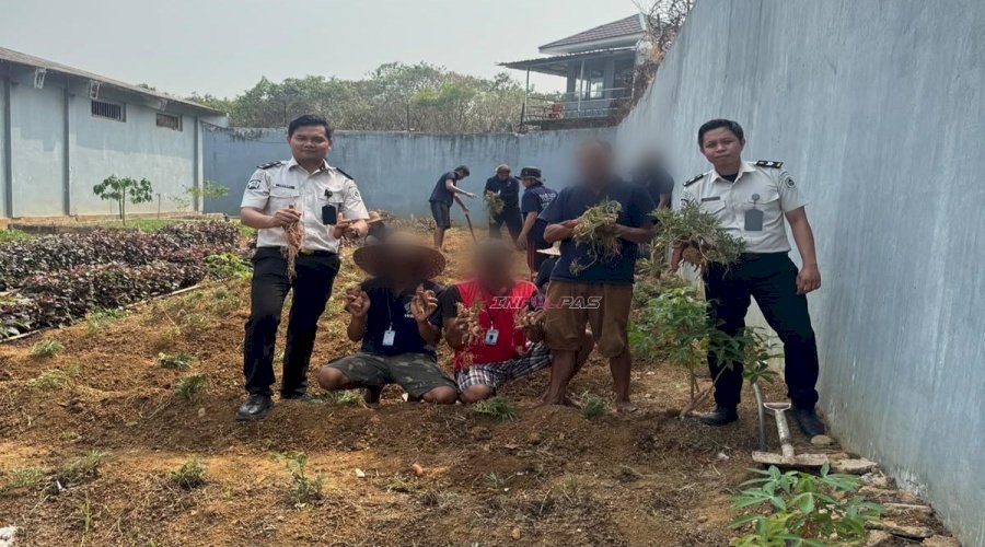 Panen 10 Kg Ubi Jalar, Lapas Narkotika Karang Intan Dorong Produktivitas Warga Binaan 