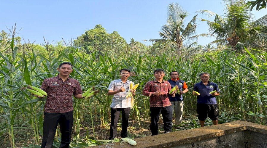 Dari Merawat hingga Panen, SAE Lapas Tabanan Jadi Ruang Belajar Warga Binaan