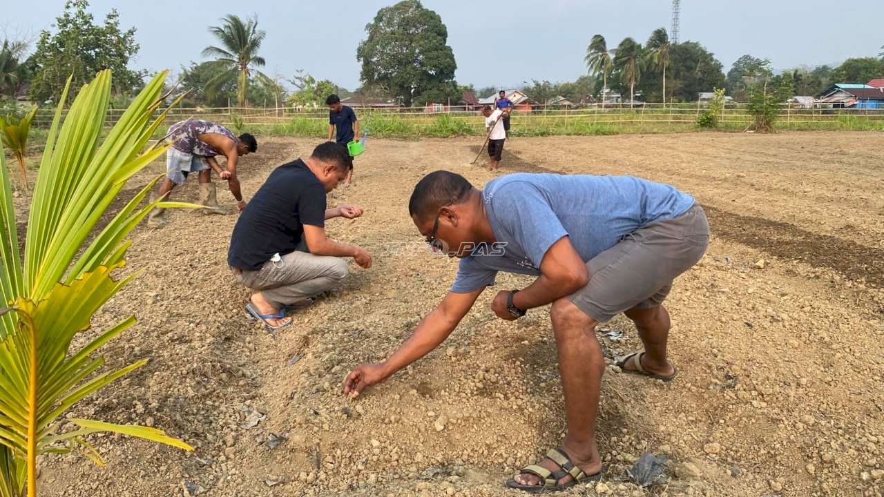 Rutan Masohi Lanjutkan Penanaman dan Kacang Tanah di Lahan SAE
