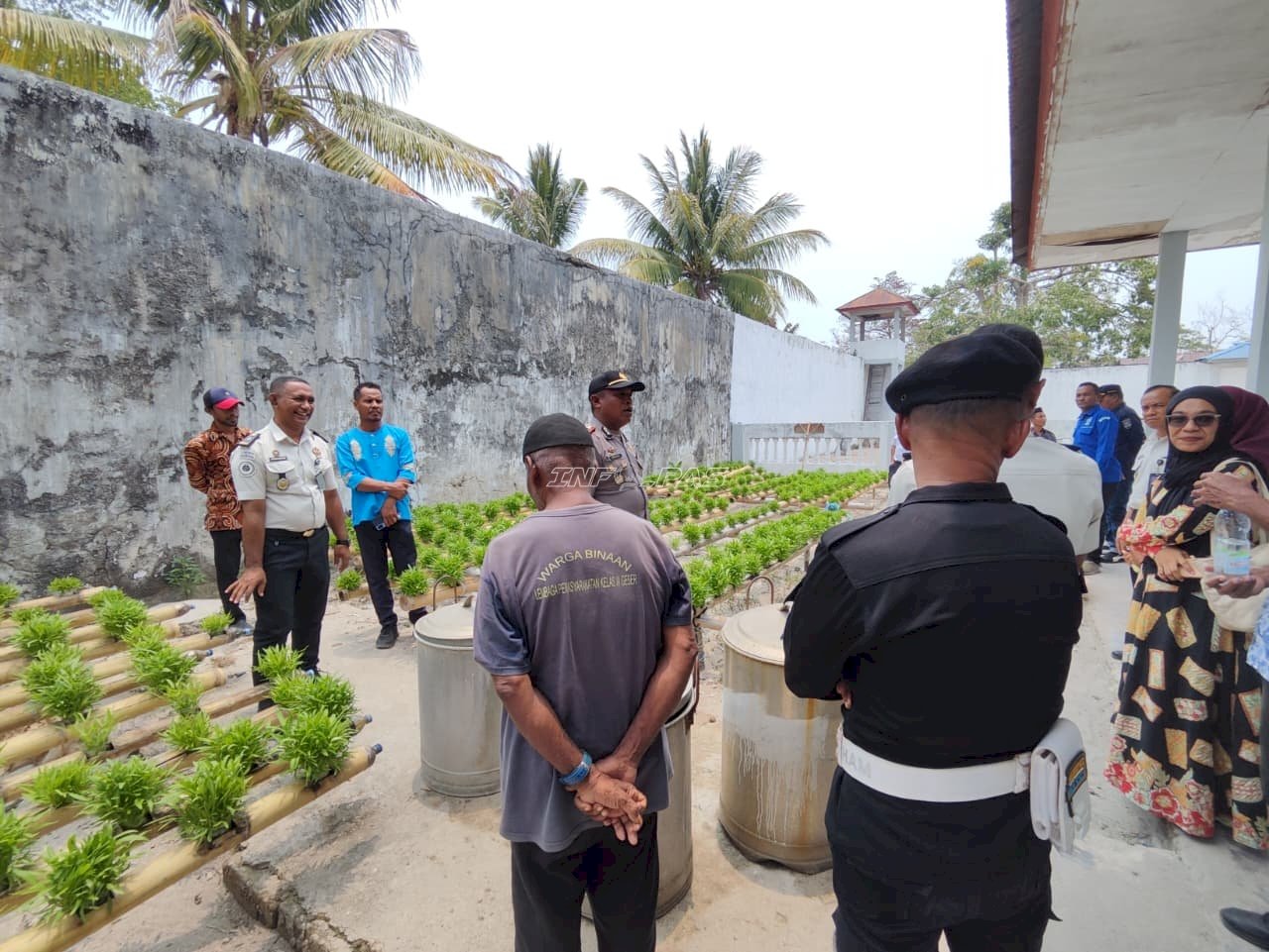Inovasi Pertanian Hidroponik Lapas Geser Diapresiasi Forkopimcam Seram Timur