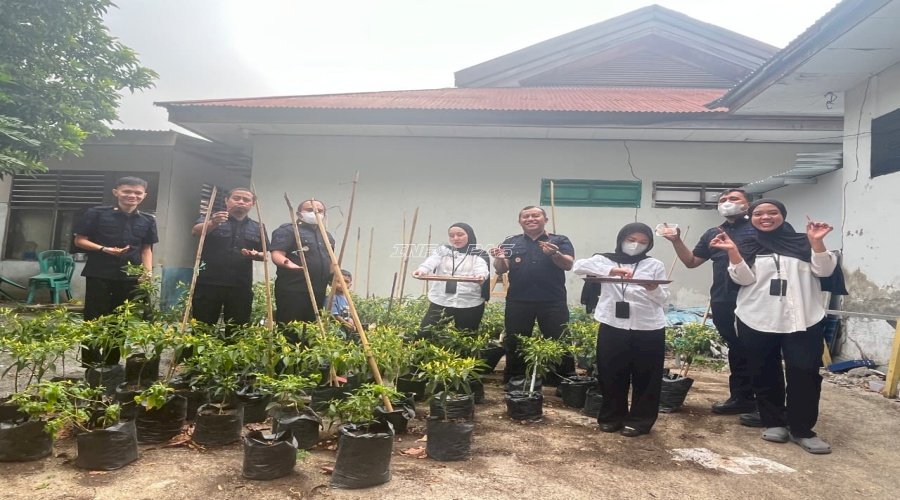 Bukan Sekadar Berkebun, Bapas Luwuk Petik Hasil Program Ketahanan Pangan