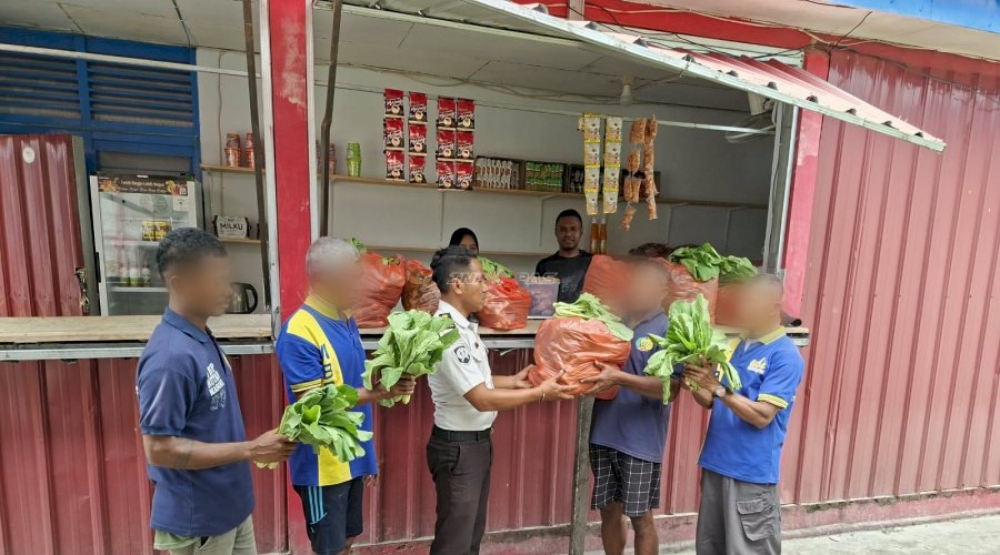 Panen 95 Ikat Sawi, Warga Binaan Rutan Masohi Dukung Program Ketahanan Pangan