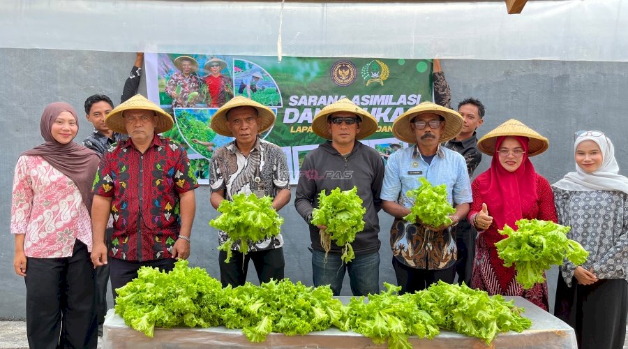 Panen Sawi dan Selada Hidroponik, Lapas Bandanaira Perkuat Ketahanan Pangan