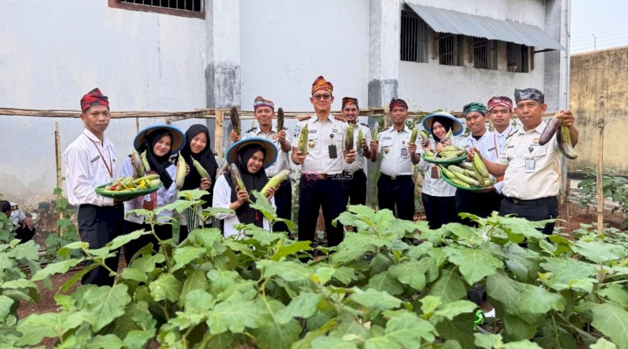 Lapas Baubau Panen 25,4 Kilogram Tanaman Hortikultura