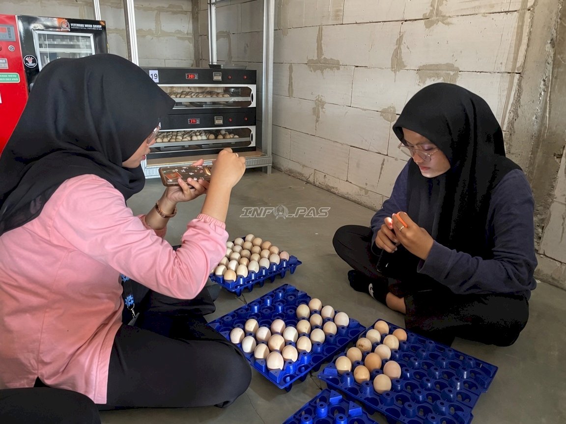 Peserta Magang Lapas Terbuka Kendal Belajar Identifikasi Telur Fertil melalui Candling