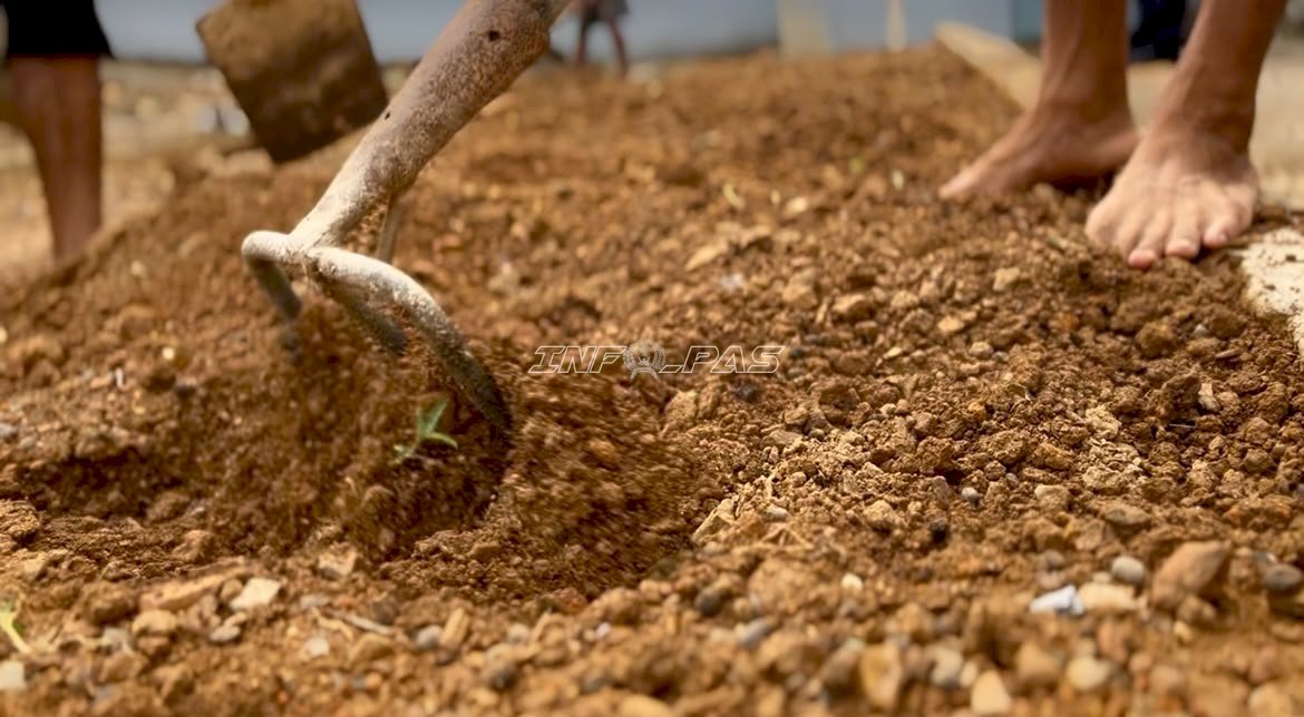 Kemarau Panjang Tak Hentikan Persiapan Budi Daya Kangkung di Lapas Kotabaru