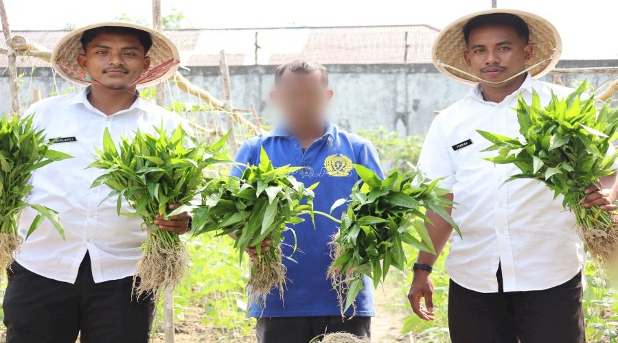 Warga Binaan Lapas Ambon Panen 35 Ikat Kangkung dari Pemanfaatan Lahan Kosong