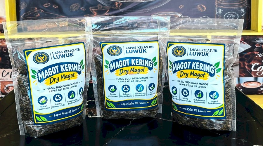 Tingkatkan Kemandirian Warga Binaan, Lapas Luwuk Luncurkan Produk Olahan Maggot Kering