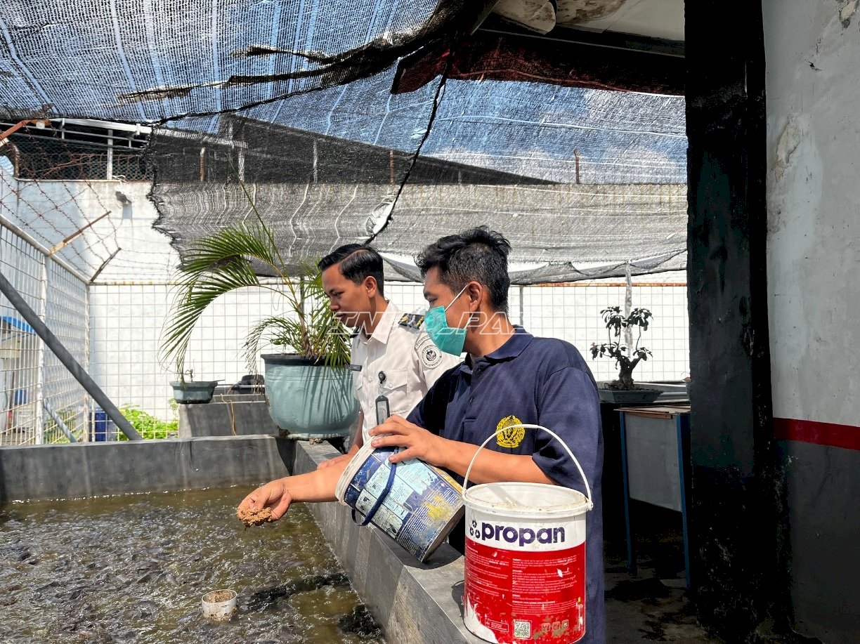 Lapas Jember Dorong Keterampilan Usaha Warga Binaan melalui Budi Daya Lele