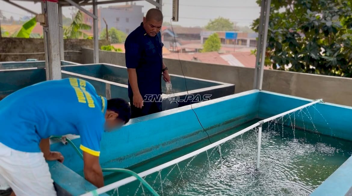 Lapas Kotabaru Uji Coba Budi Daya Ikan Nila dengan 100 Bibit Perdana