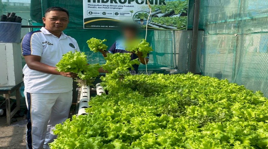 Dari Kebun Hidroponik ke Dapur UMKM, Lapas Luwuk Dorong Kemandirian Warga Binaan